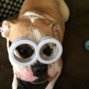 Meet your Posher, Aliya